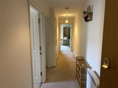 Picture 7